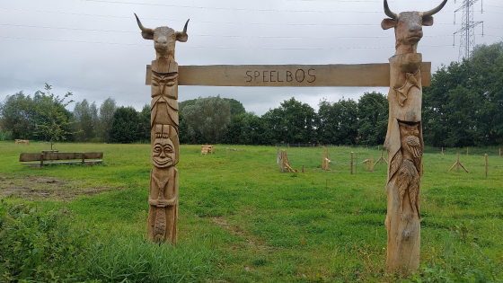 Totems aan speelbos Vichtestraat